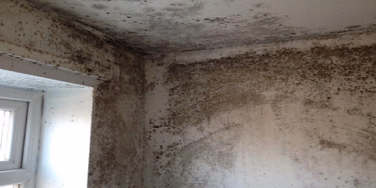 Ceiling mould